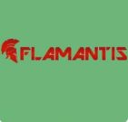 Обзор онлайн казино Flamantis