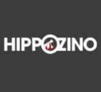 Обзор онлайн казино Hippozino