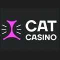 Обзор онлайн казино Cat casino