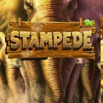Слот Stampede — играть бесплатно онлайн