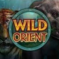 Слот Wild Orient — играть бесплатно онлайн